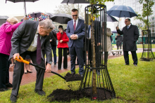 Ceremonial planting of oak trees named after former MUW Rectors
